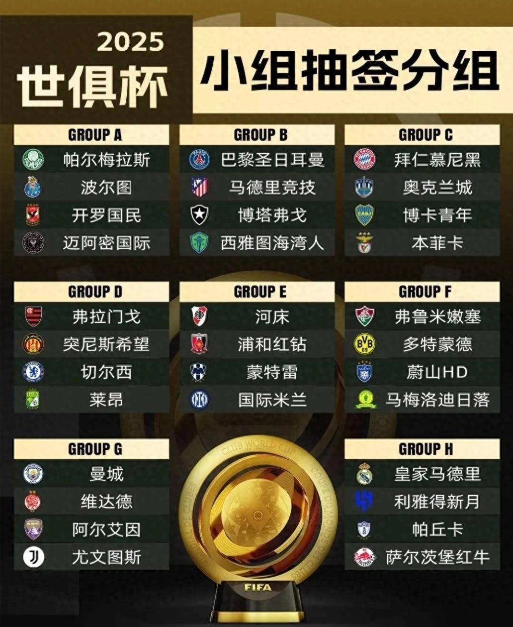 关于多特世俱杯征程总结：憾负皇马无缘四强，共获奖的信息